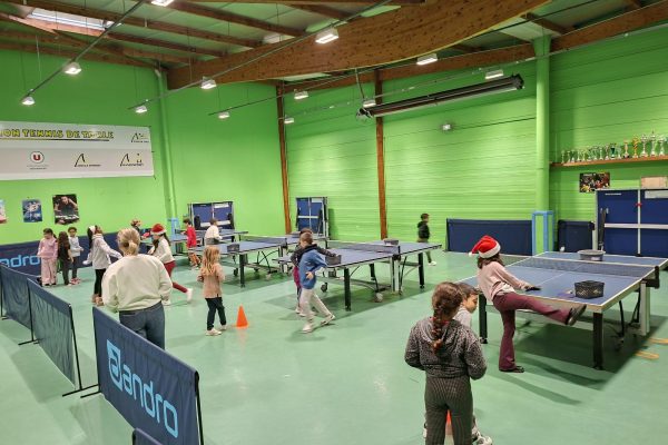 FFTT dorong partisipasi perempuan dalam tenis meja melalui program feminisasi dan kepemimpinan olahraga.